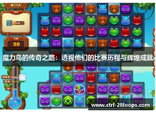 魔力鸟的传奇之路:透视他们的比赛历程与辉煌成就 魔力鸟的传奇之路:透视他们的比赛历程与辉煌成就