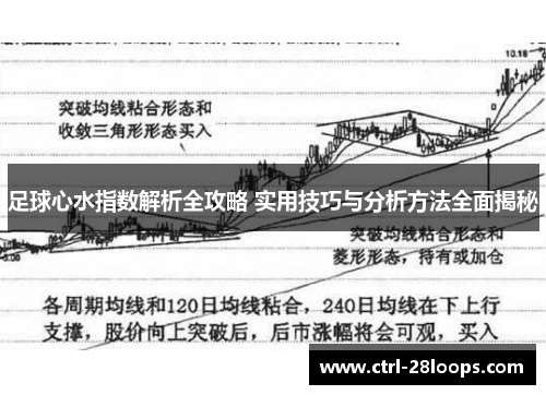 足球心水指数解析全攻略 实用技巧与分析方法全面揭秘 足球心水指数解析全攻略 实用技巧与分析方法全面揭秘