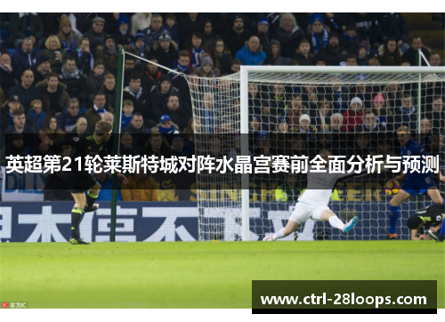 英超第21轮莱斯特城对阵水晶宫赛前全面分析与预测 英超第21轮莱斯特城对阵水晶宫赛前全面分析与预测